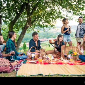group-of-friends-making-barbecue-in-the-nature-happy-people-having-fun-on-a-pic-nic-in-the-countryside-PP8TFF